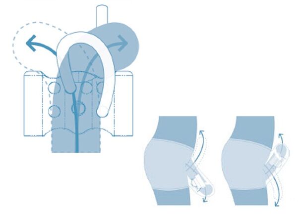 青少年生殖系统